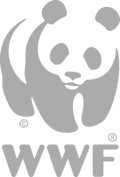 Icon client